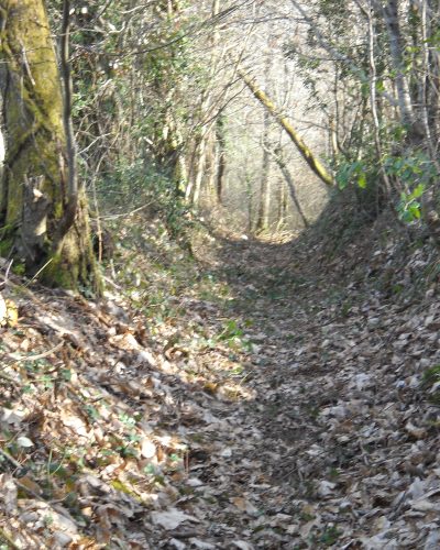 Sur le sentier thématique " Le chemin des moulins"