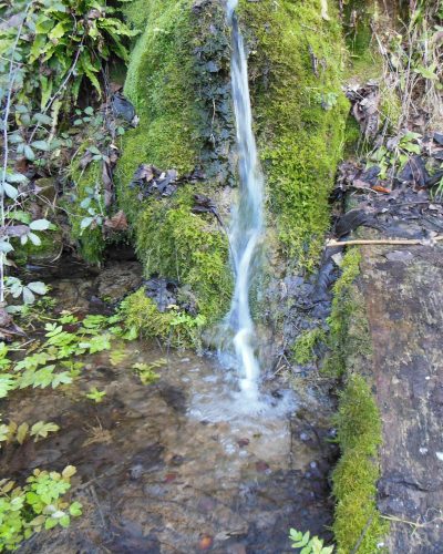 La source du Touron