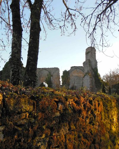 Les ruines du prieuré de Laurenque