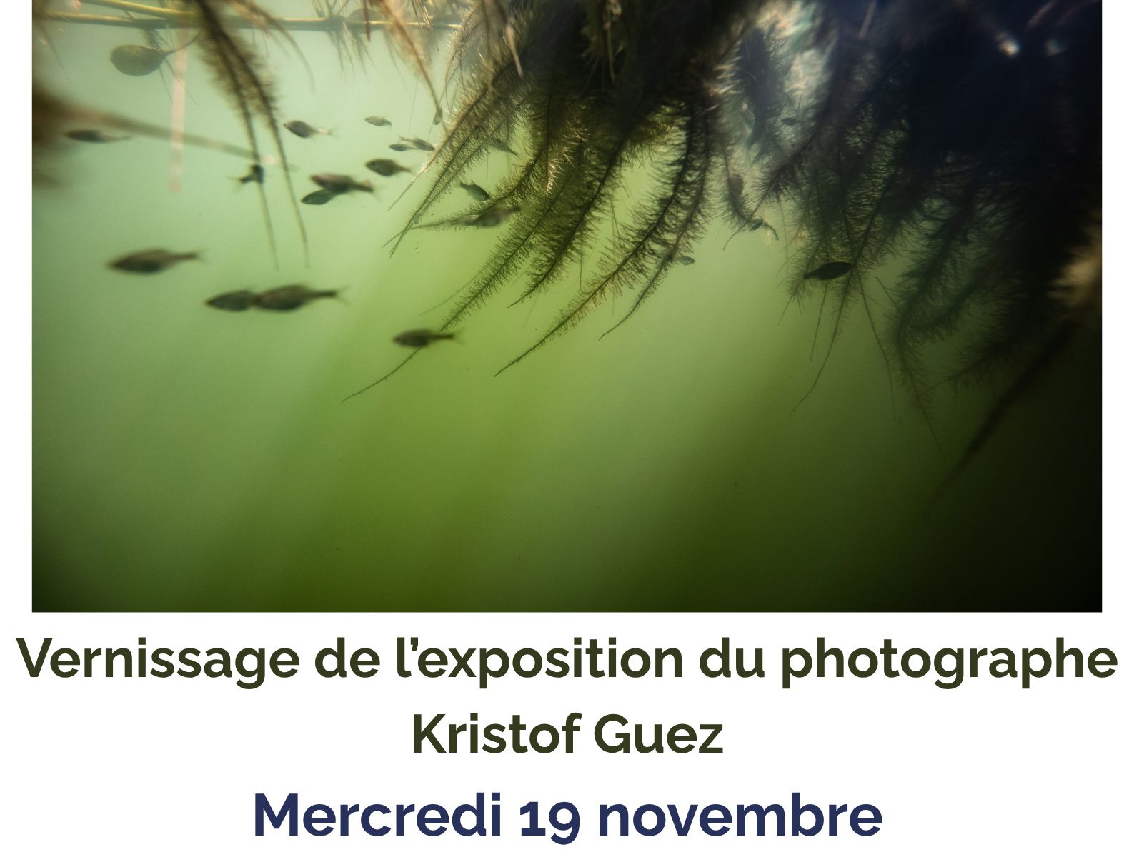 Vernissage Kristof Guez